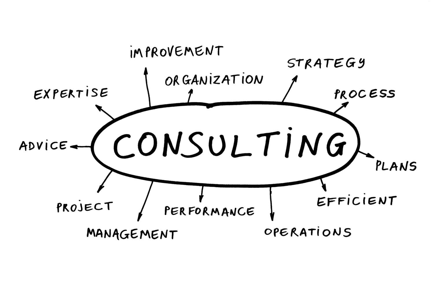 Business Management Consultant